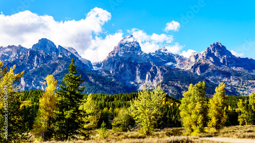 Fall Colors and the tall mountain peaks of Middle Teton  Grand Teton  Mount Owen and Teewinot Mountain in the Teton Range of Grand Teton National Park in Wyoming  United States