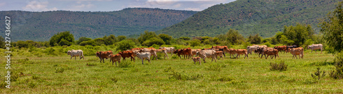 african agriculture © poco_bw