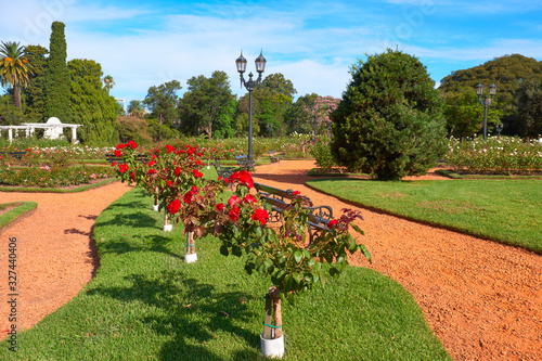 Rose Park within Parque Tres de Febrero, or Bosques de Palermo (Palermo Woods in English), an urban park in the neighborhood of Palermo in Buenos Aires, Argentina. Beautiful romantic path, rose bushes photo