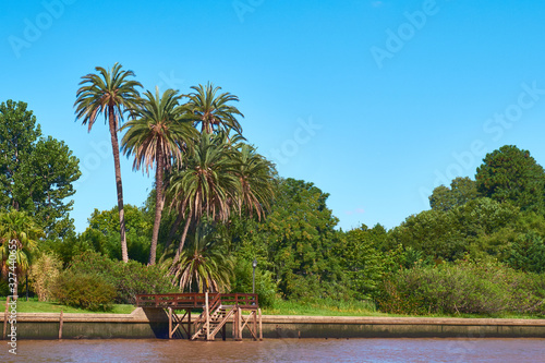 Lush vegetation, palm trees on the river bank. Tigra delta in Argentina, river system of the Parana Delta North from capital city Buenos Aires. photo