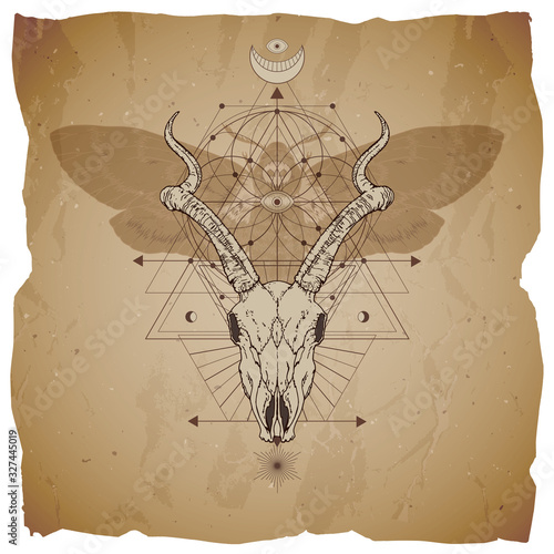 Vector illustration with hand drawn antelope skull, dead head moth and Sacred geometric symbol on vintage paper background with torn edges.