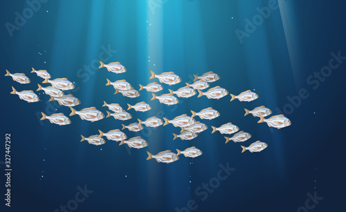 Dorado fishes blue background, marine life in schools. Atlantic ocean fish flock, simple water inhabitants. Seafood packaging and market. Vector illustration used in backdrop design. Banner.