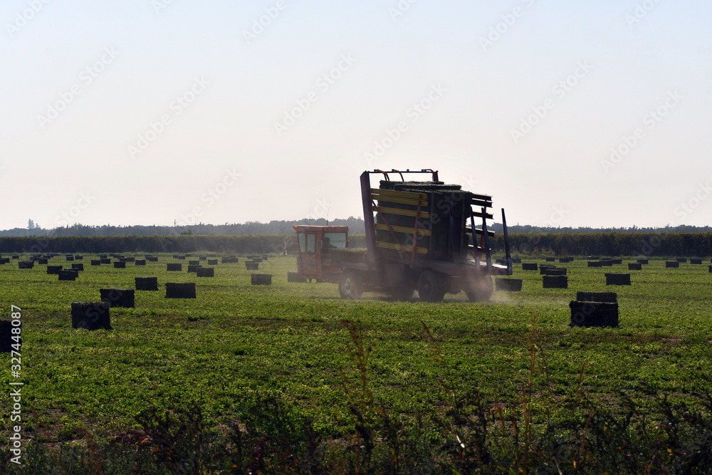 Naklejka premium Farmer picking up the hay bales