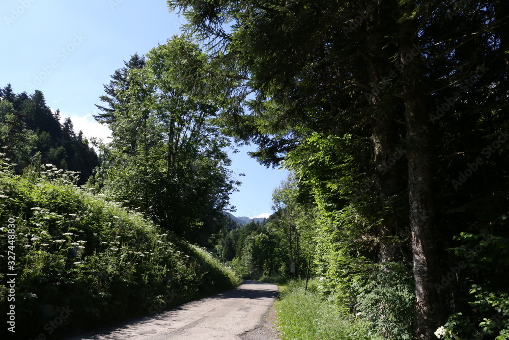 Obraz premium Ciels de France et montagne