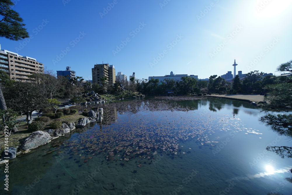 Fototapeta premium 京都のお庭