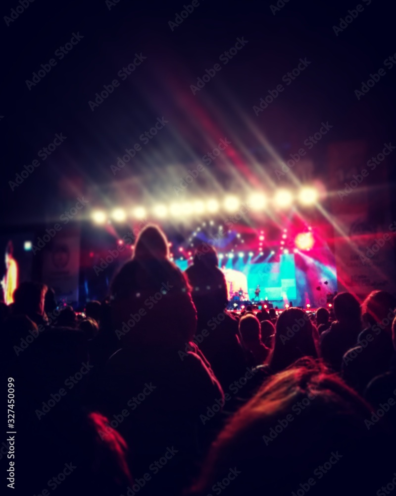 crowd of people at a concert