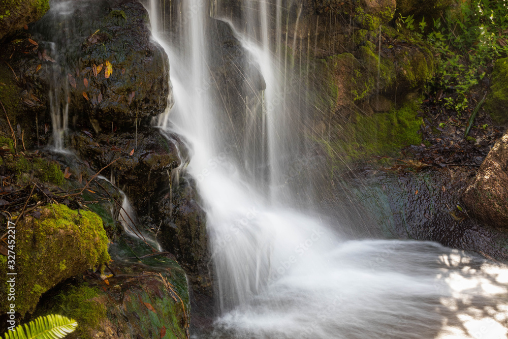 waterfall in forest