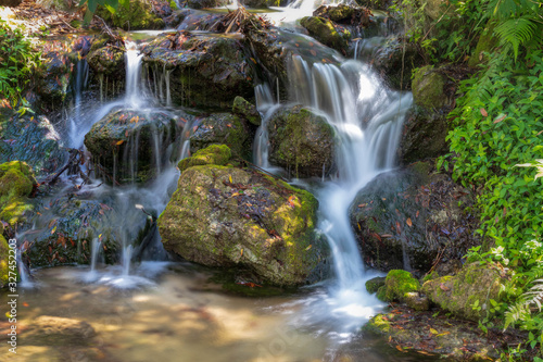 waterfall in forest