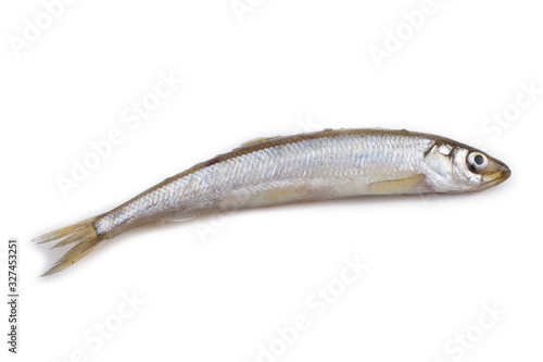 Smelt fish isolated on white