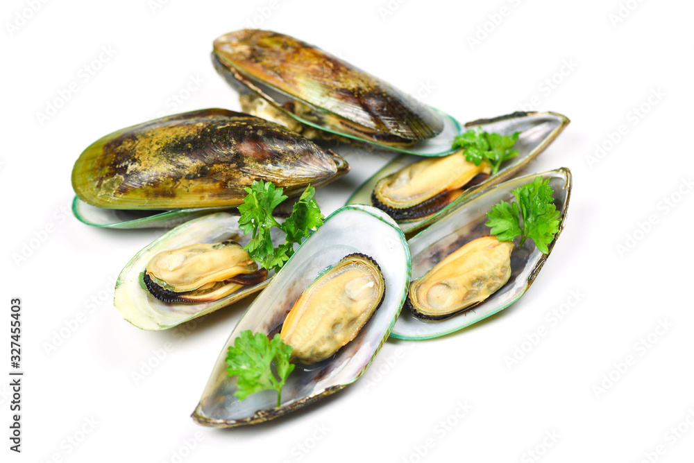 Mussels isolated on white background - Green mussel shell with parsley Mussels isolated on white background - Green mussel shell with parsley