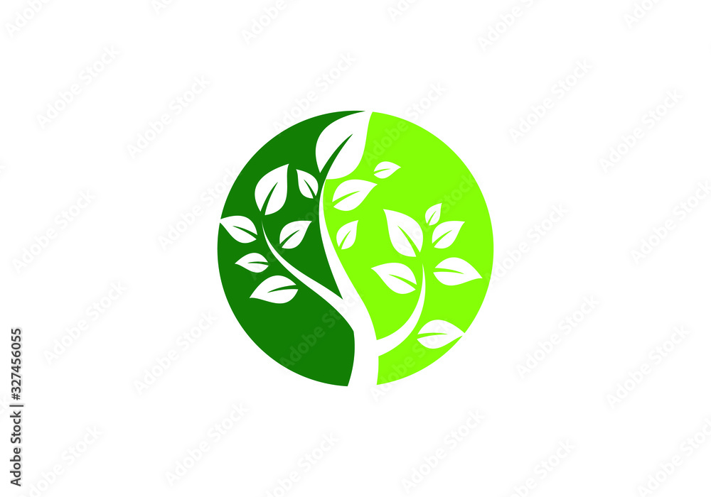 Fototapeta premium Green tree logo in a circle shape, ecology green plant sign.