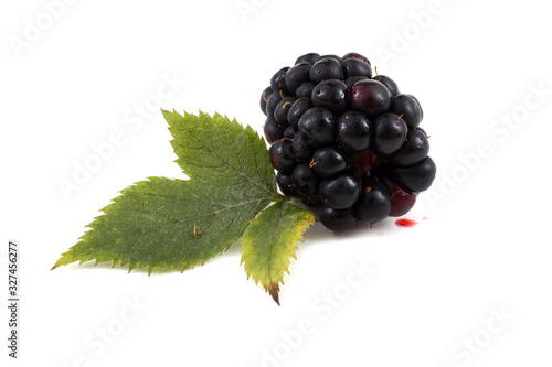 Black grape and leaf