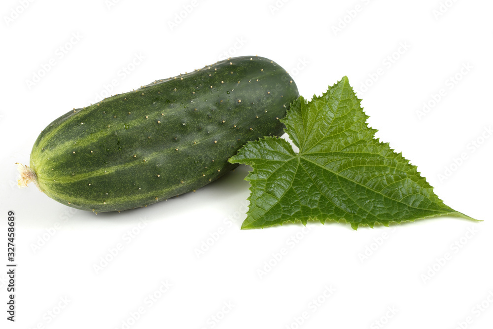 Cucumber and leaf Cucumber and leaf
