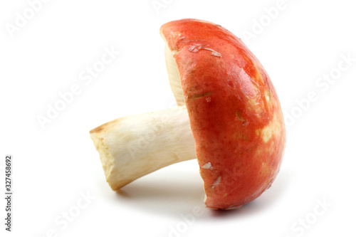 Red russule mushroom