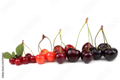 Different cherries
