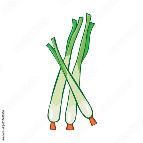 lemongrass isolated illustration on white background