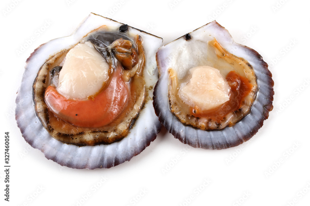 Two opened scallpos Two opened scallpos
