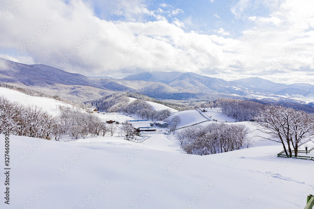 Daegwallyeong  Sheep Ranch in Gangwon Province in winter Snowfall