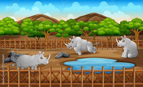 Scene with many rhinos living in the zoo