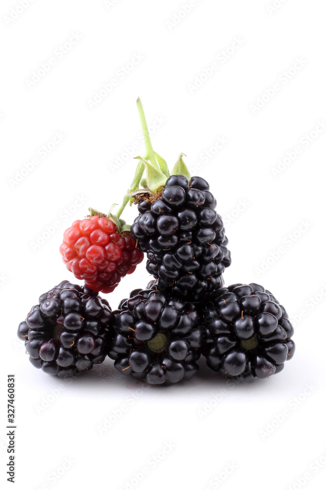 Blackberries Blackberries