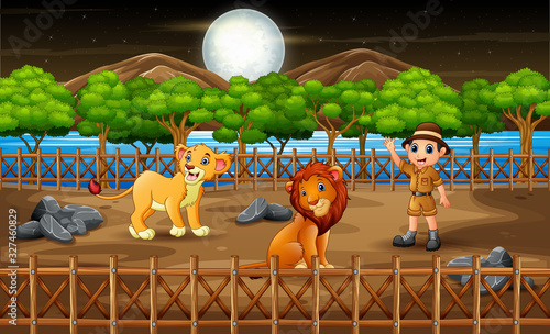 A zookeeper man with lions in the open air cage at night