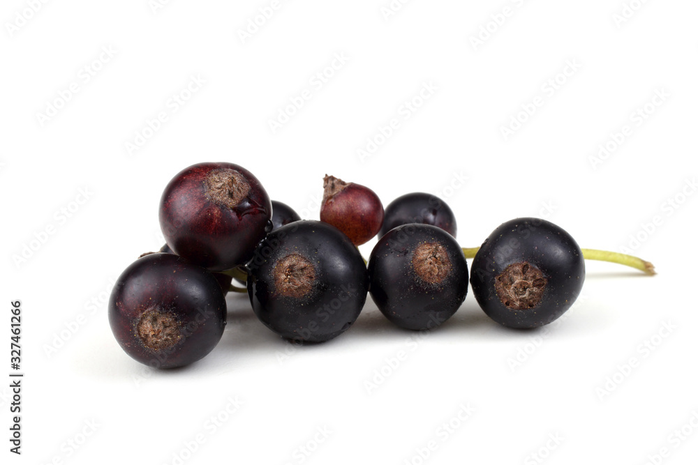 Cluster of black currant Cluster of black currant