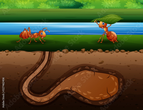 Ants cartoon crawling back to the hole