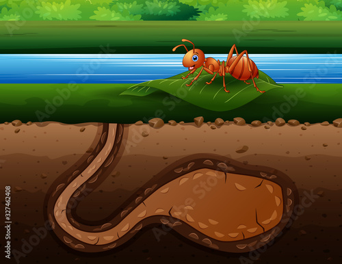 Red ant on green leaf with anthill