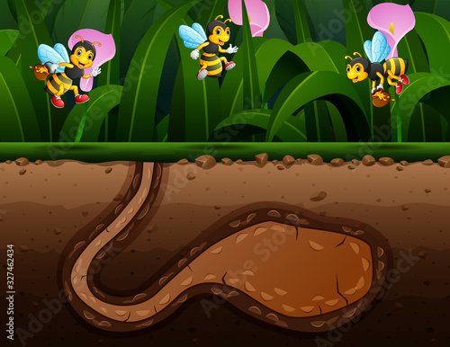 Bee cartoon in the park background