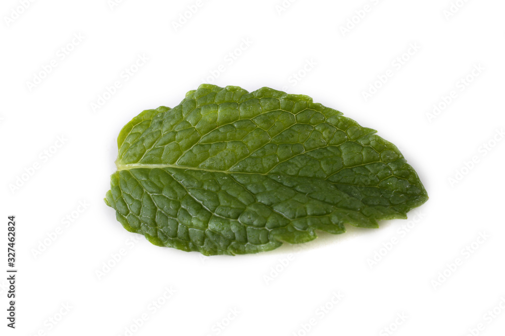 Mint leaf isolated on white Mint leaf isolated on white