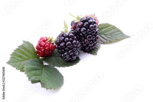 Blackberries on leaf