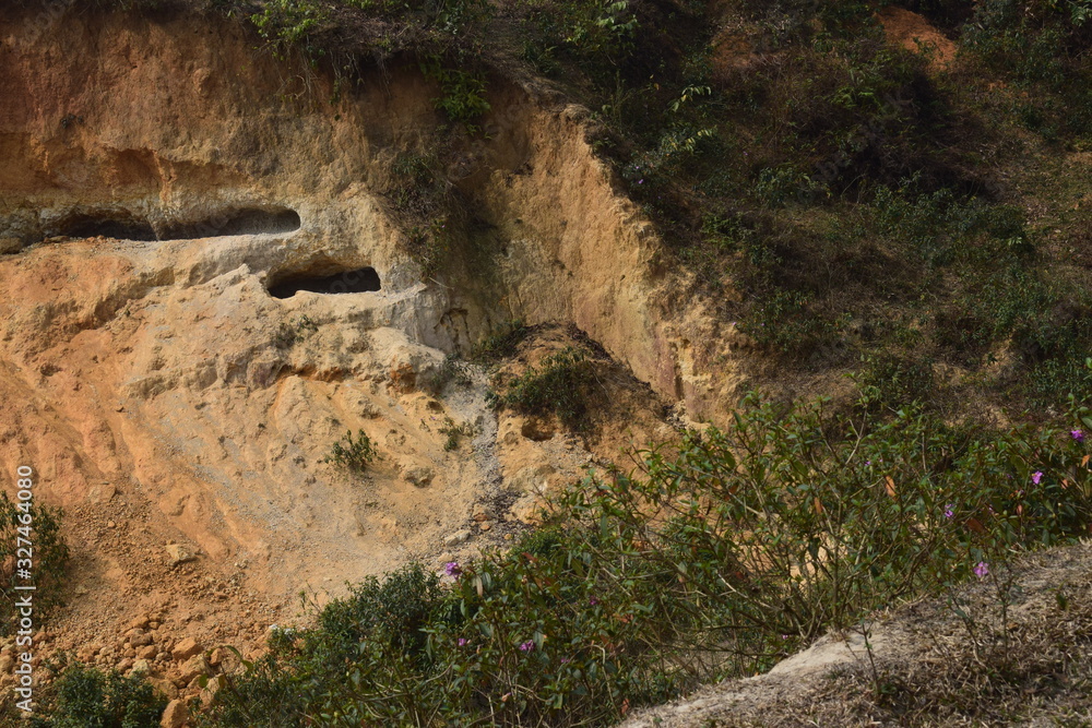 Obraz premium road in forest