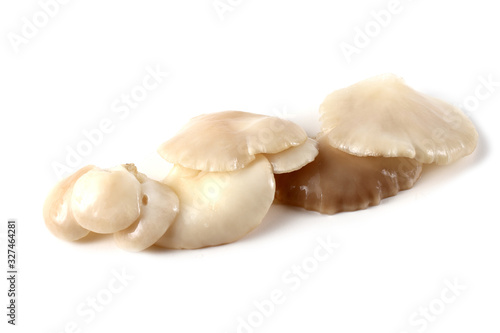 White oyster mushrooms