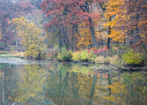 Fototapeta Naklejka Na Ścianę i Meble -  Autumn reflections in the placid surface of  a secluded lake on a rainy November day.