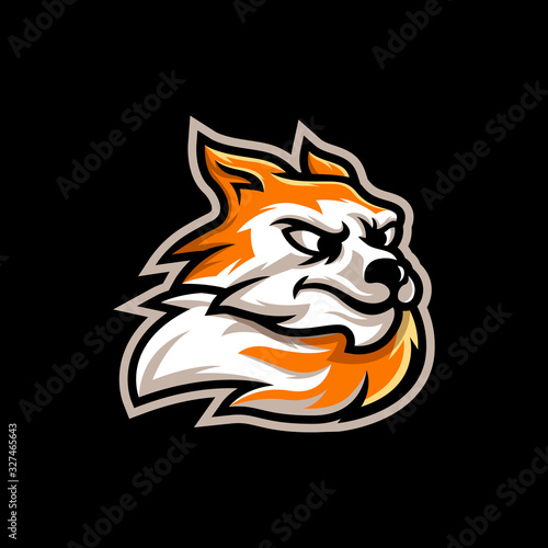 Fototapeta Naklejka Na Ścianę i Meble -  Fox Mascot Logo Design