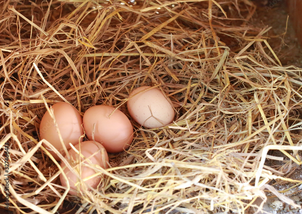 Eggs lie on the background of hay with copy space. Eggs lie on the background of hay with copy space.