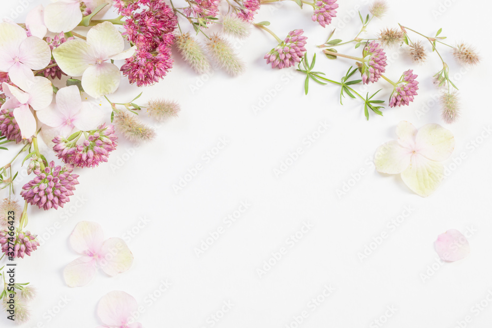 wildflowers on white paper background