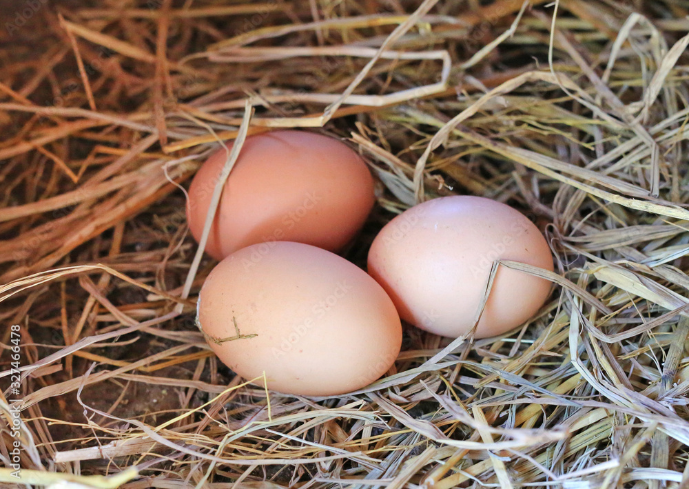 Three eggs lie on the background of hay
