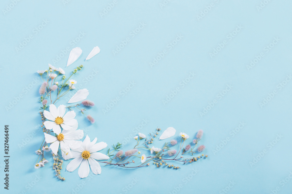 white flowers on paper background