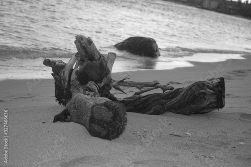 Hawaii Beach