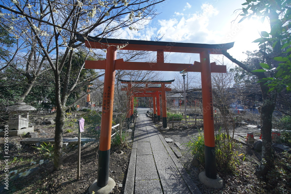 京都の平野神社 京都の平野神社