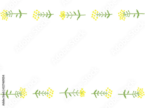 菜の花