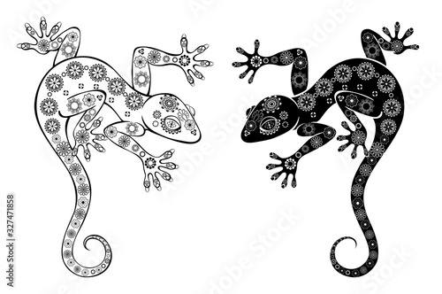 Two monochrome geckos