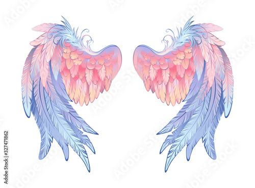 Obraz na plátně Delicate angel wings