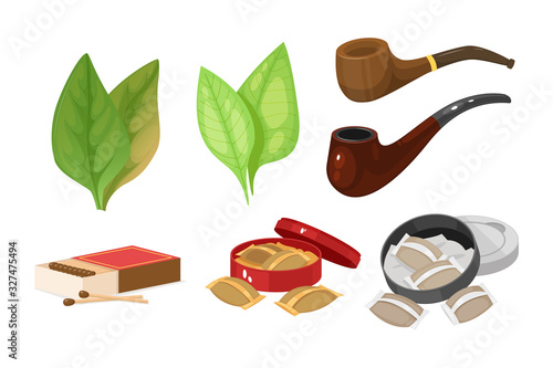 Smoking tobacco, bad habits set. Cigars, cigarettes, cigarillos, rolls in paper. Snuff, chewing tobacco powder, nicotine, tobacco leaves, smoking pipes. Concept of cigarette harm vector