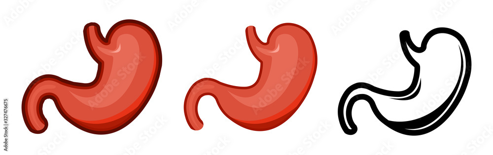 Healthy human stomach. Whole. Set. Color image and monochrome icon. A series of illustrations on the internal organs. Isolated vector object on a white background. Healthy human stomach. Whole. Set. Color image and monochrome icon. A series of illustrations on the internal organs. Isolated vector object on a white background.