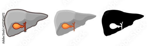 Healthy human gall bladder. Whole. Set. Color image and monochrome icon. A series of illustrations on the internal organs. Isolated vector object on a white background.