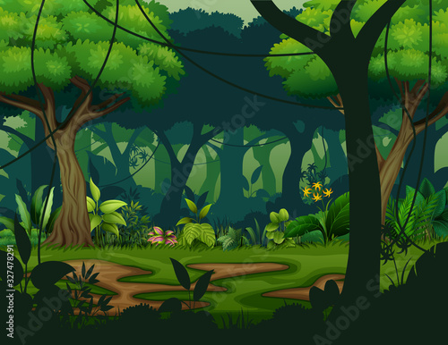 Dark rainforest with trees background
