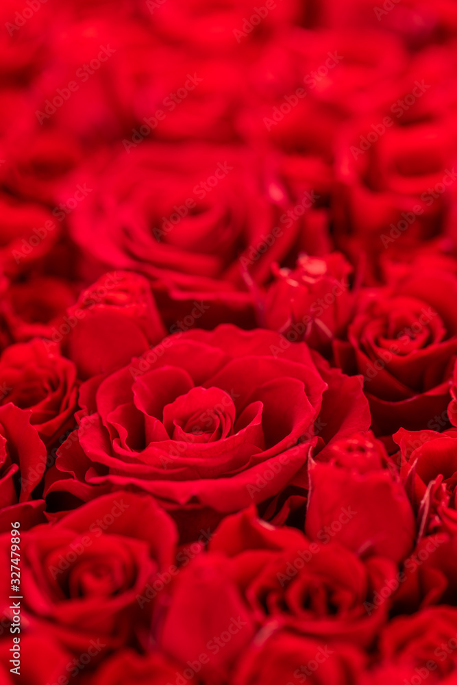 Fototapeta premium バラの花束