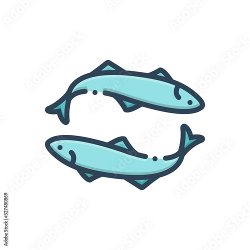 Color illustration icon for anchovy 